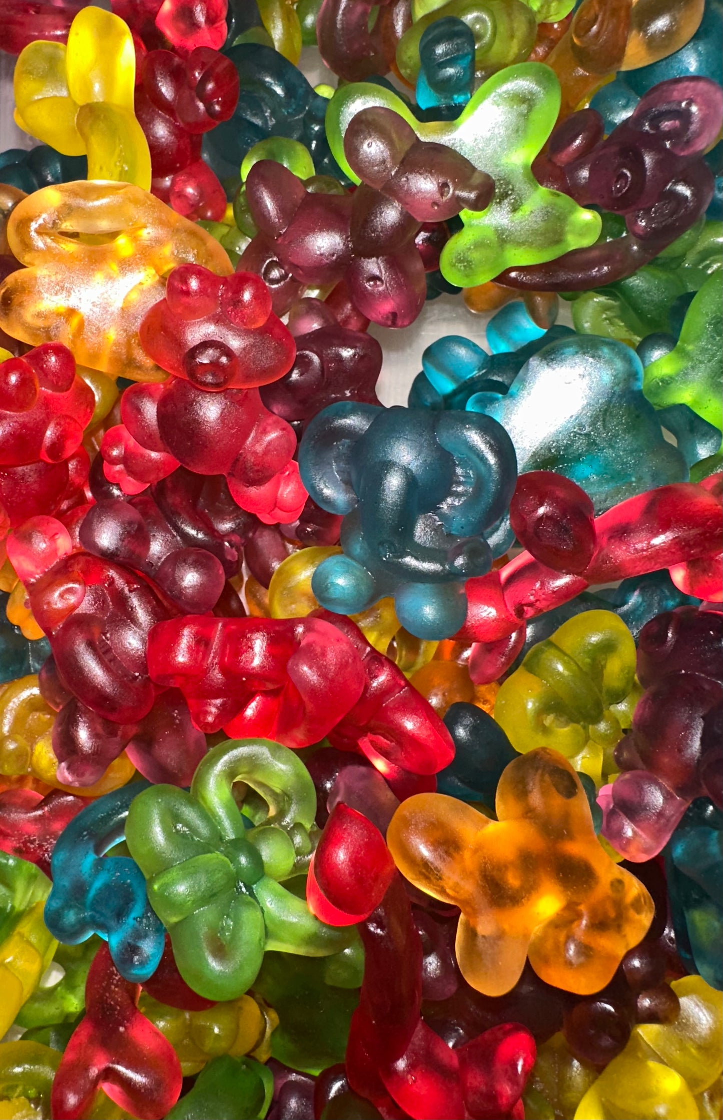 Ballon animaux (100g)