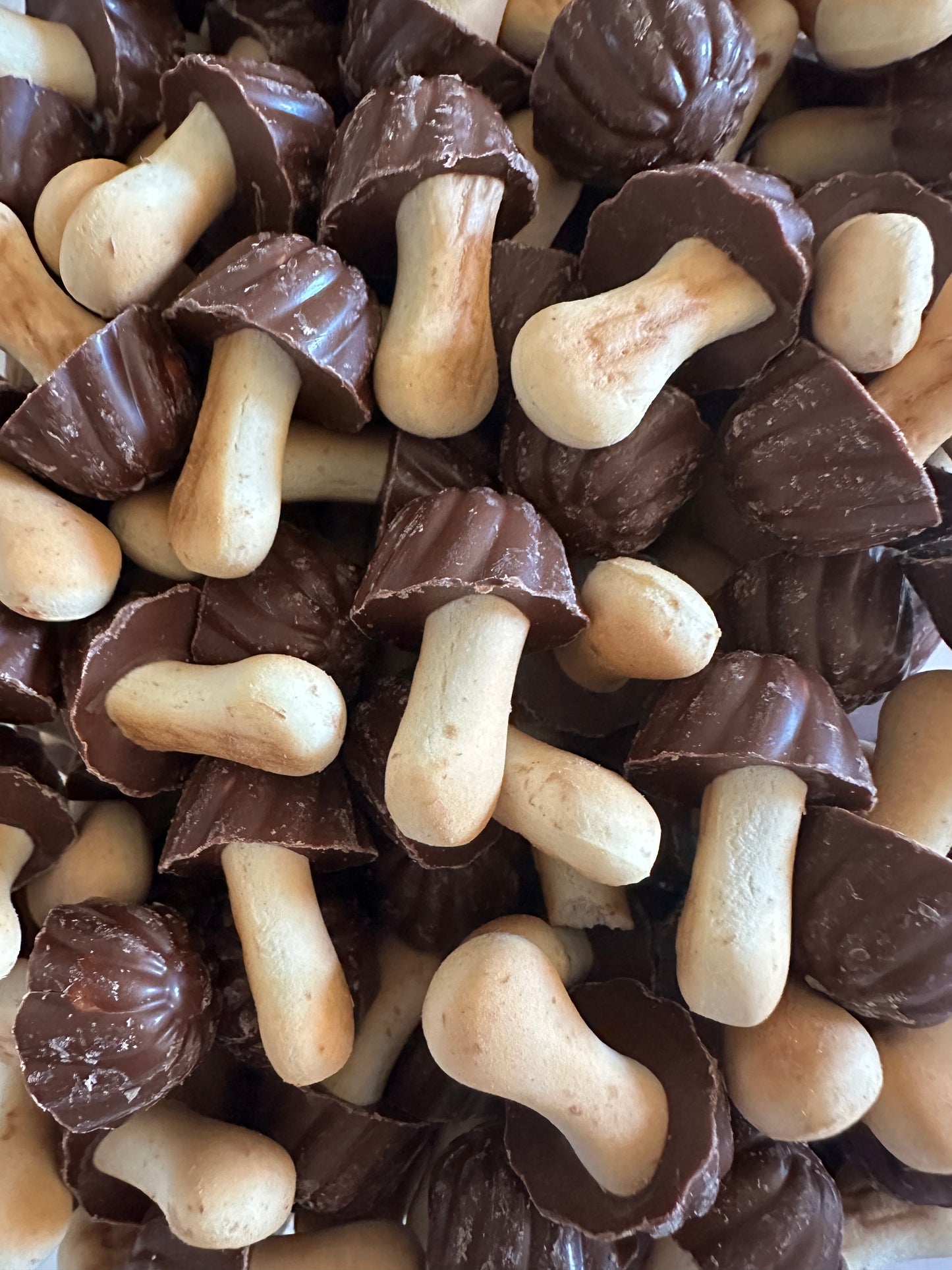 Champignon chocolat ( lot de 10)