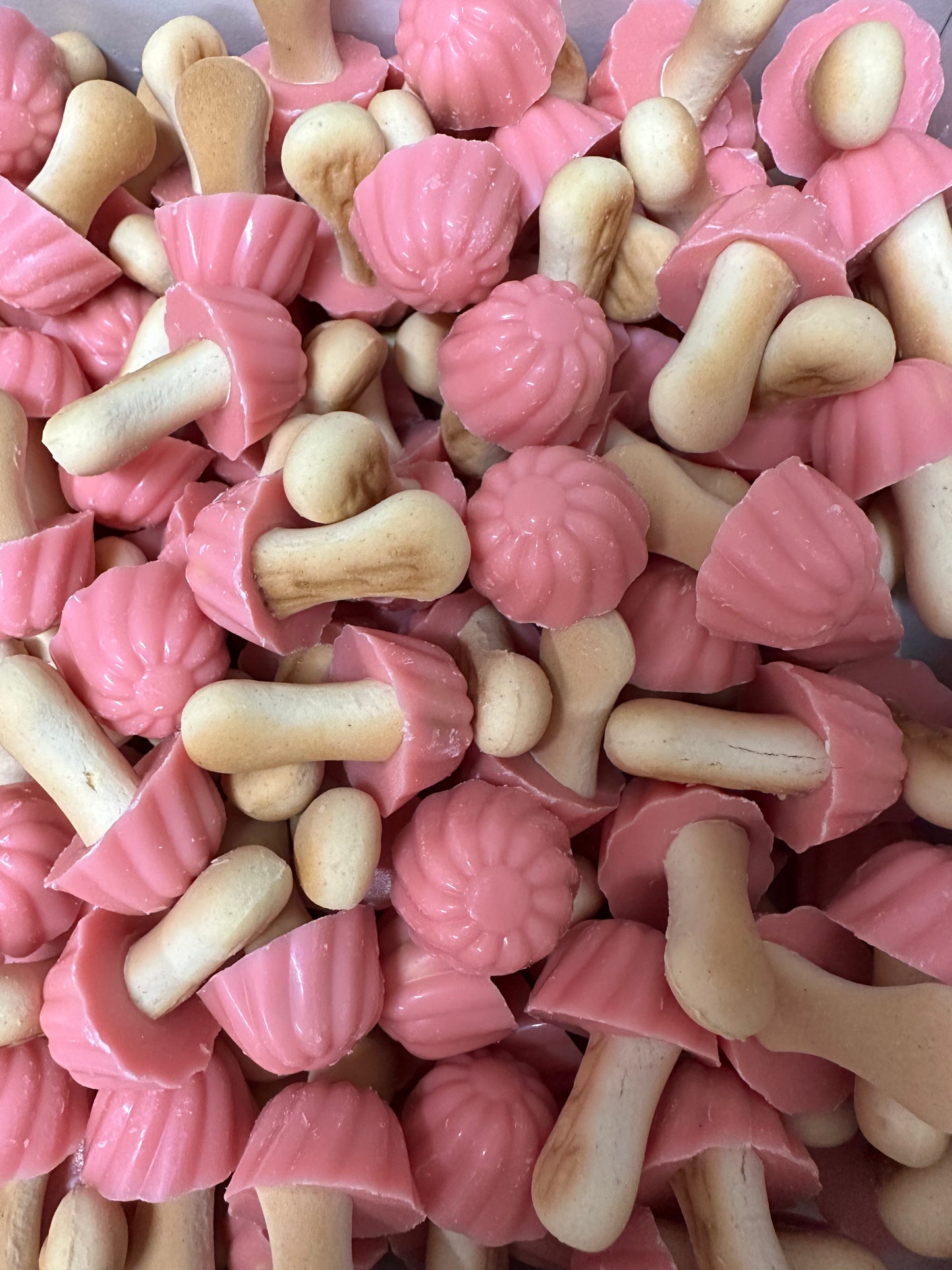 Champignon fraise ( lot de 10)