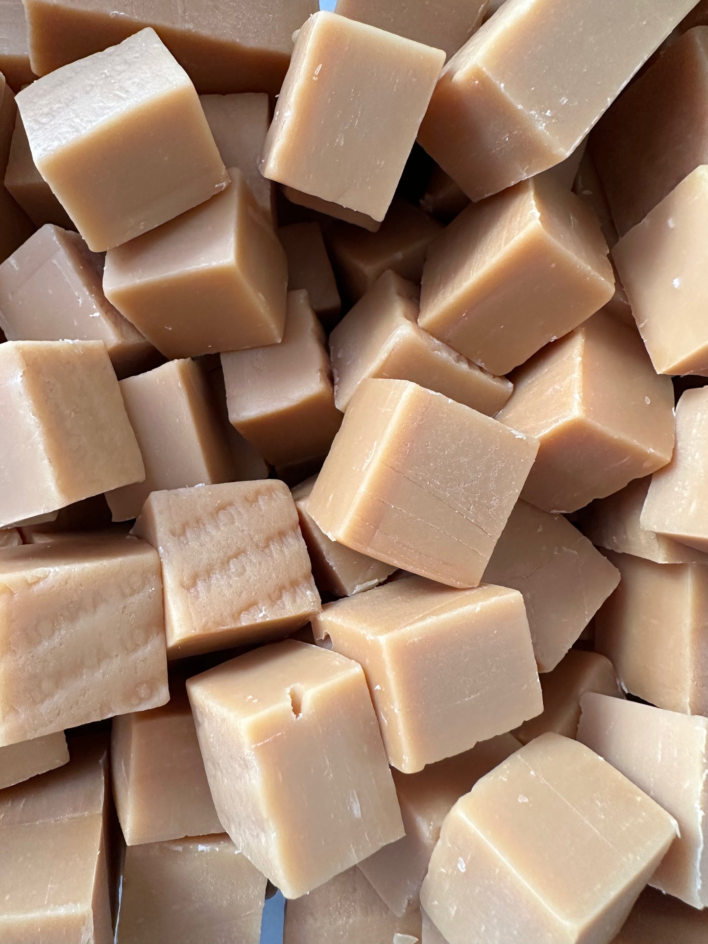 Fudge vanille (lot de 5)