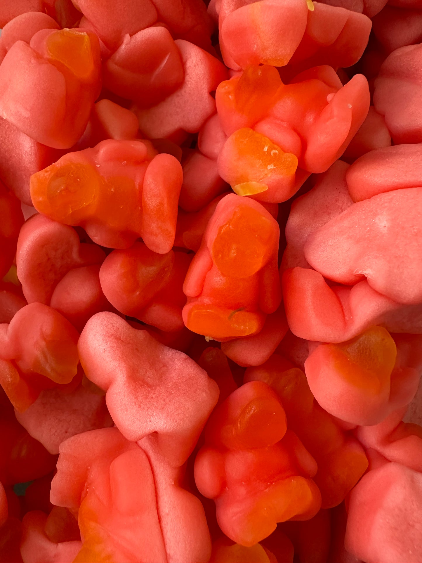 Pingouins pêche (100g)