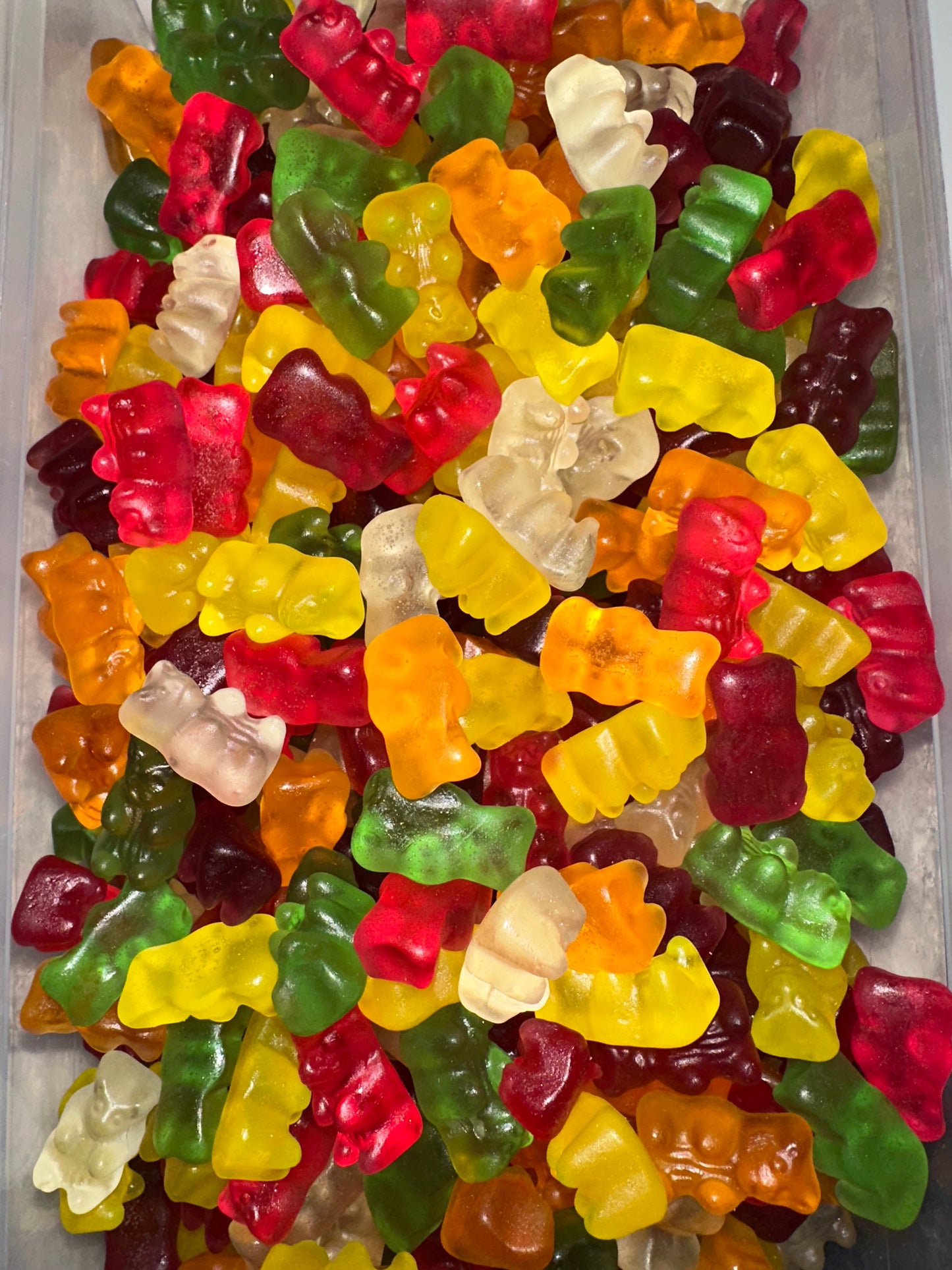 Ourson fruit sans sucre (100g)