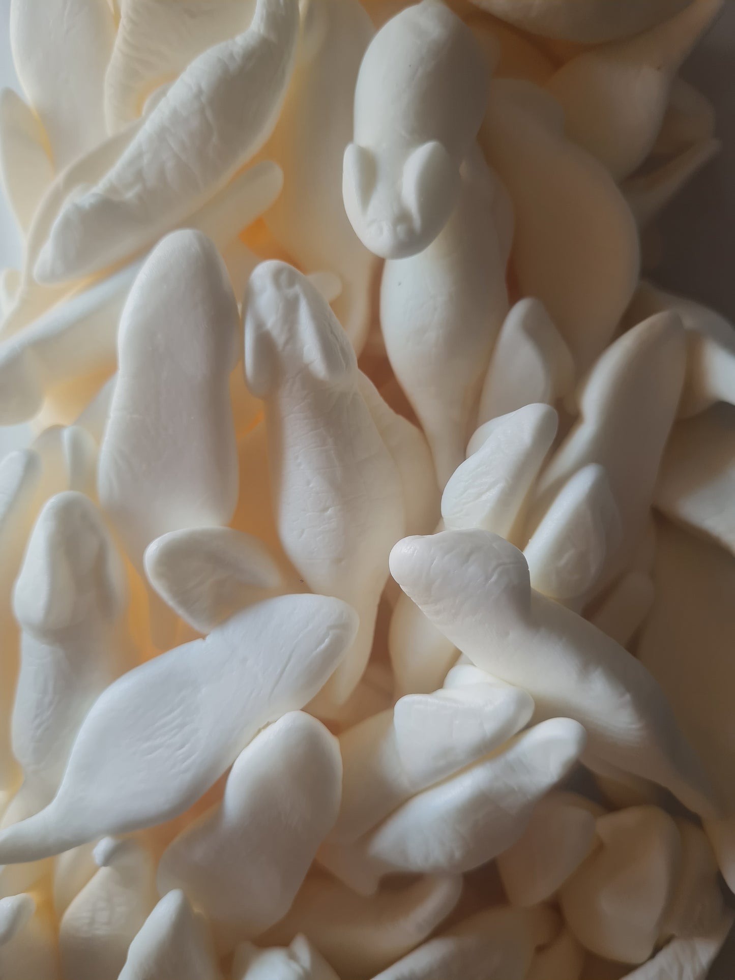 Souris blanche (100g)