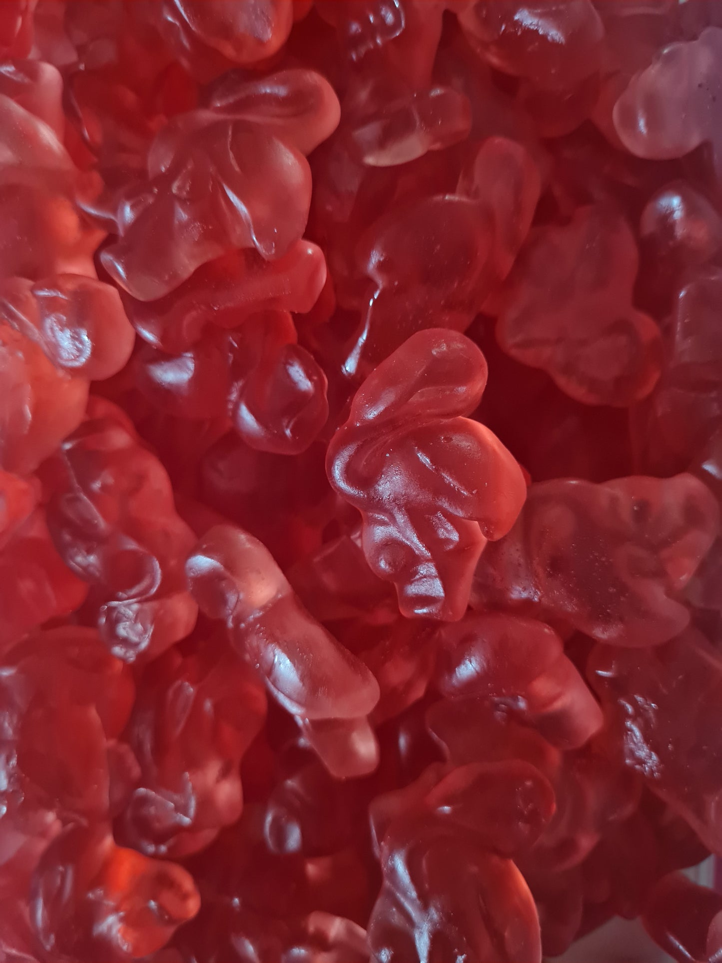 Flamant rose (100g)