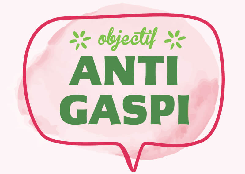 Anti gaspi