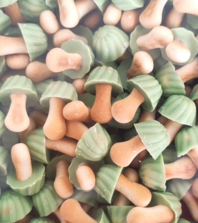 Champignon pistache (lot de 10)