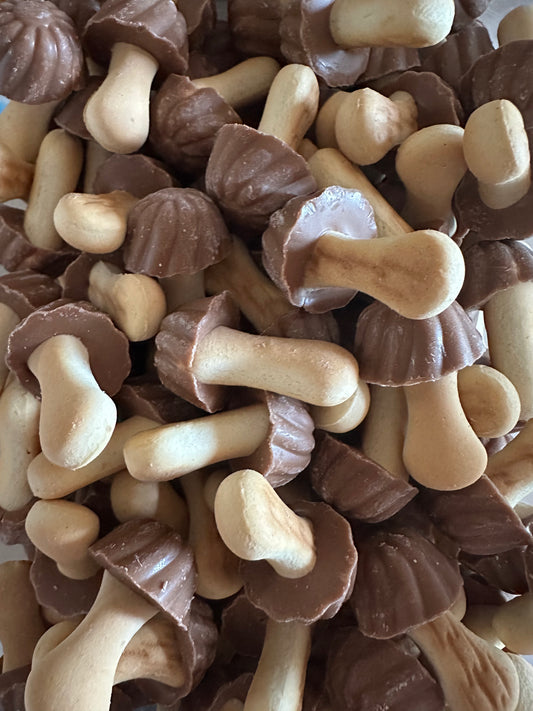 Champignon chocolat caramel ( lot de 10)