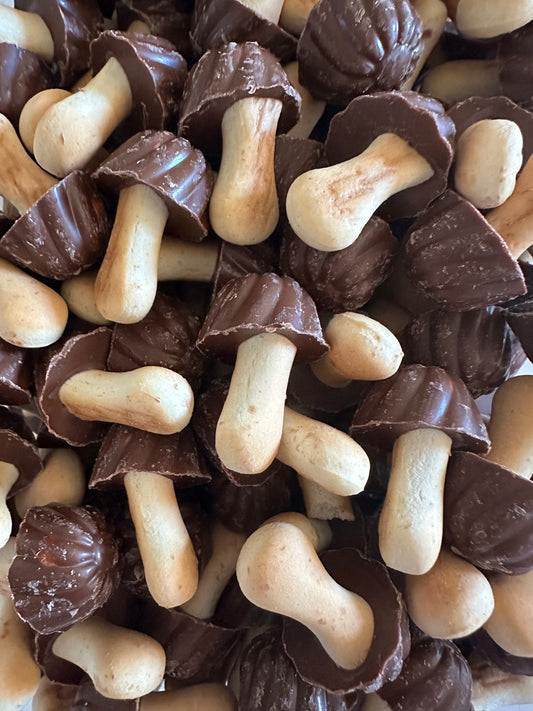 Champignon chocolat ( lot de 10)