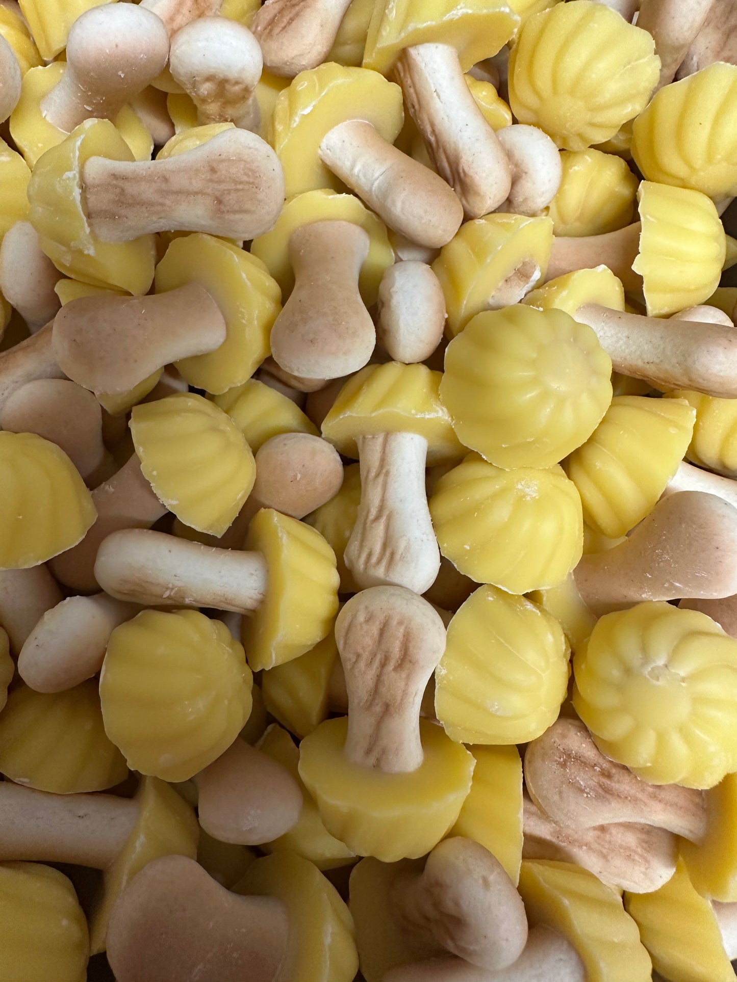 Champignon banane ( lot de 10)