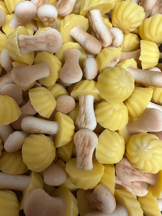 Champignon banane ( lot de 10)