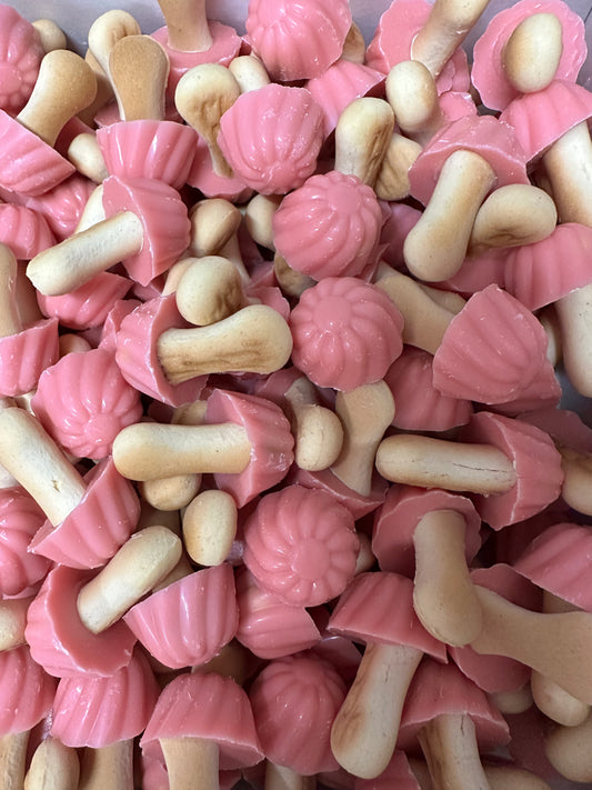 Champignon fraise ( lot de 10)