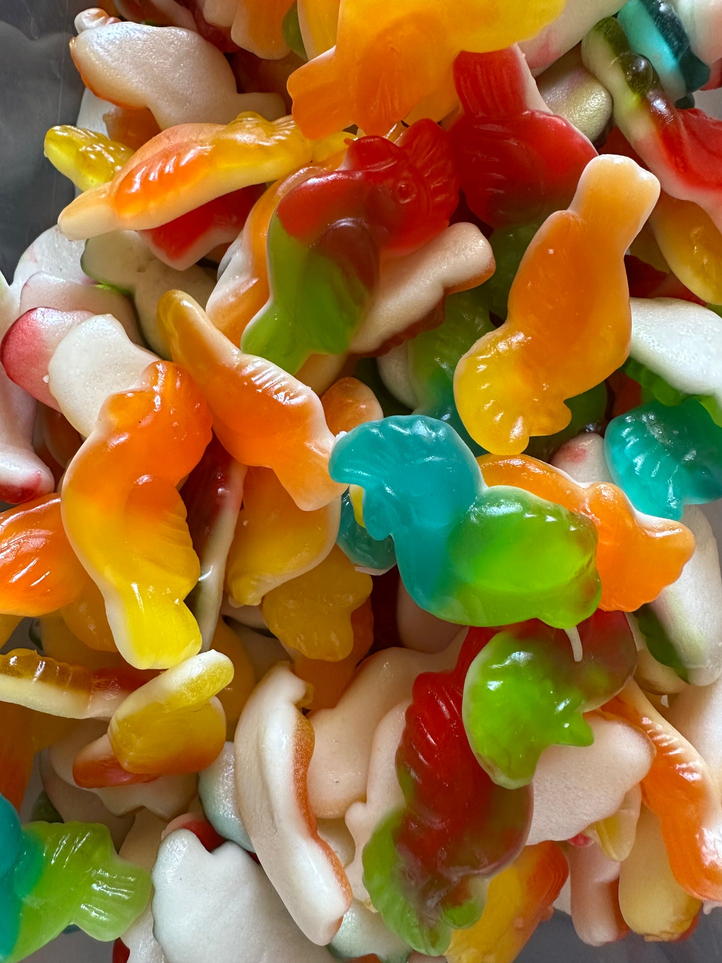 Perroquet fruit (100g )