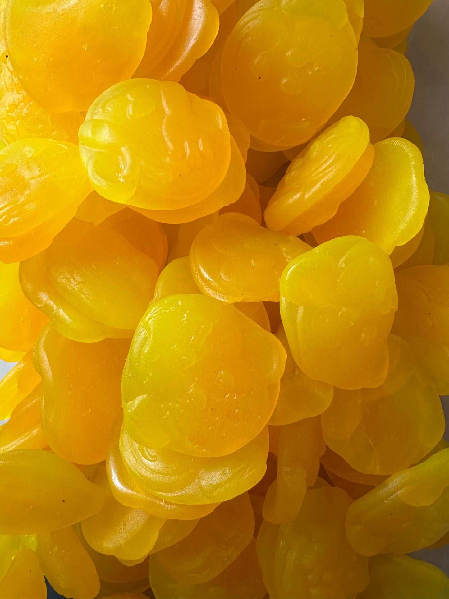 Singe suédois tropical ( 100g)