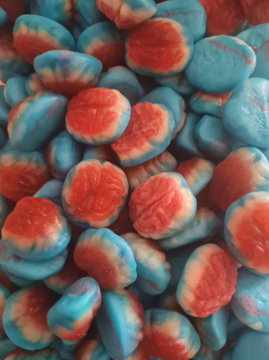 Cerveau lisse (100g)